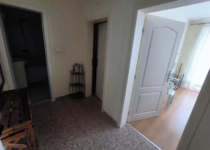 Psb In Flores Park Σάνι Μπιτς